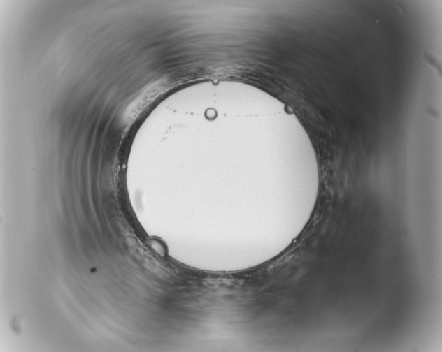 X0000103930242200810031305