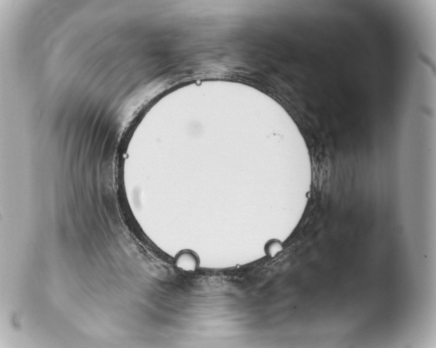 X0000103930244200810031305