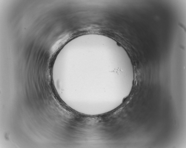 X0000103930245200810031305