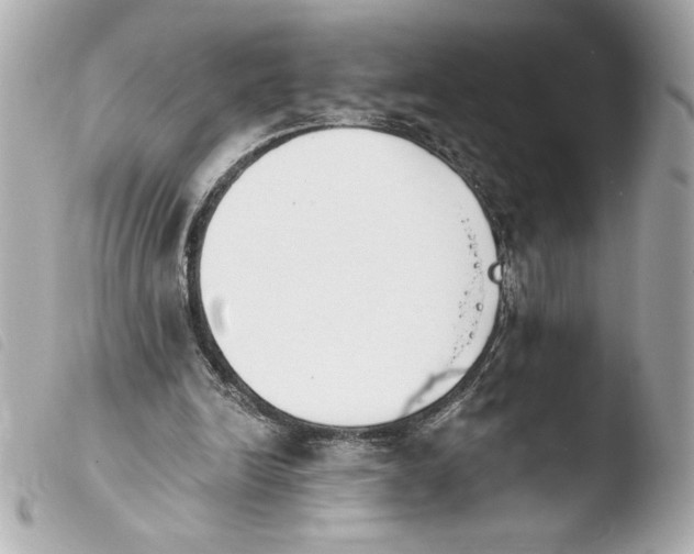 X0000103930246200810031305