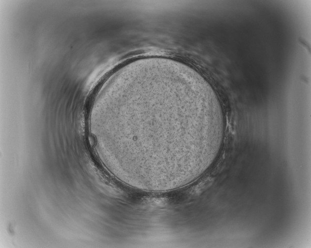 X0000103930247200810031305