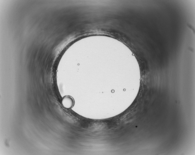 X0000103930248200810031305