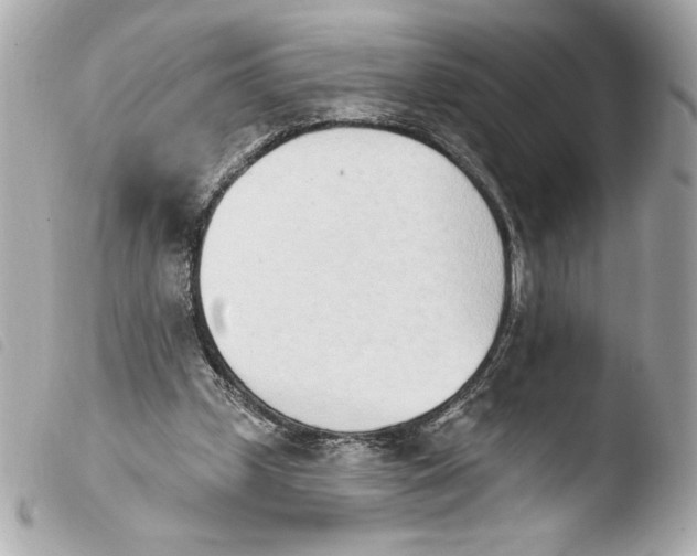 X0000103930249200810031305