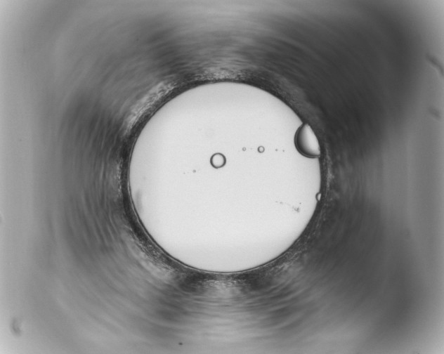 X0000103930250200810031305