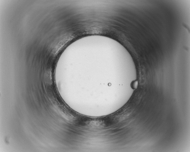 X0000103930251200810031305