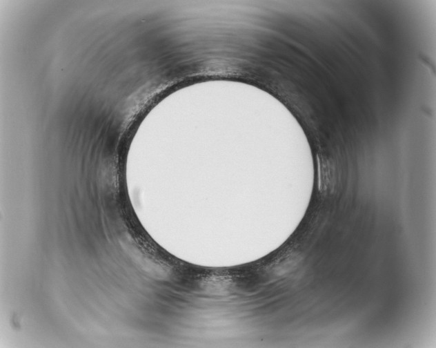 X0000103930252200810031305