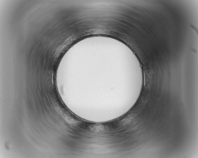 X0000103930253200810031305