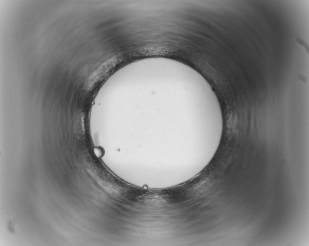 X0000103930254200810031305