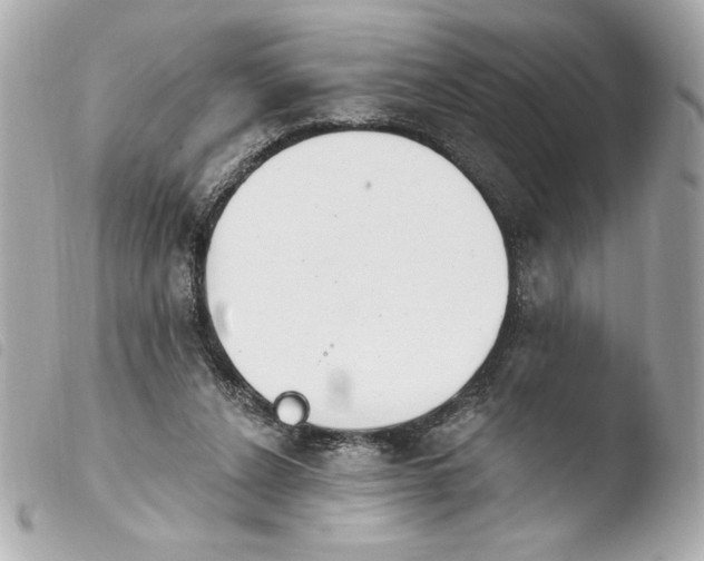 X0000103930256200810031305