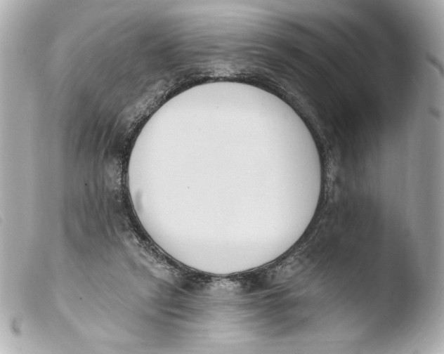 X0000103930257200810031305