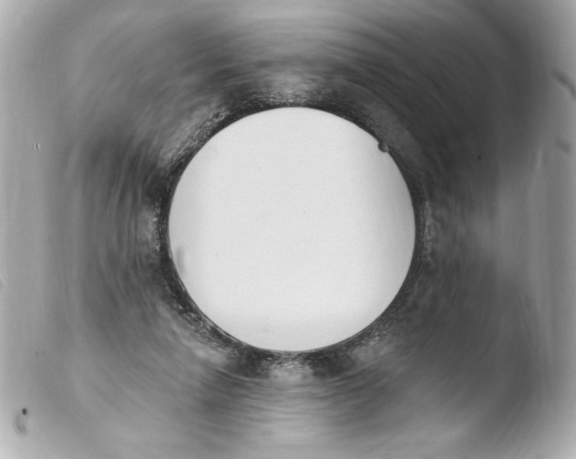 X0000103930258200810031305