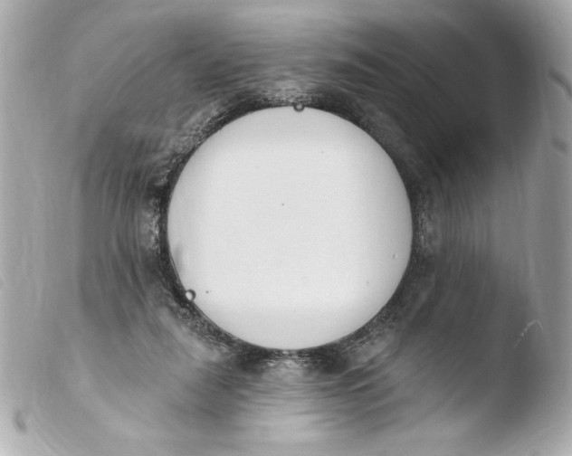 X0000103930259200810031305