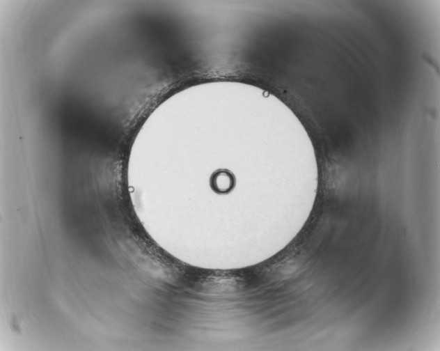 X0000103930260200810031305