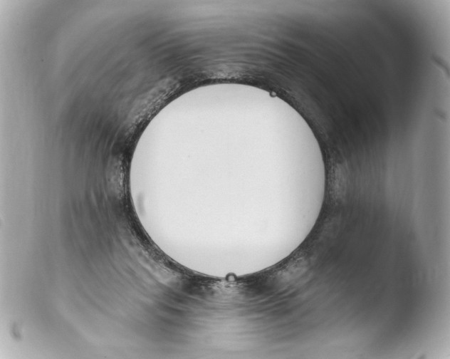 X0000103930261200810031305