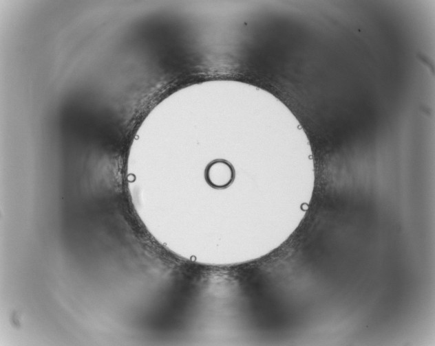 X0000103930264200810031306