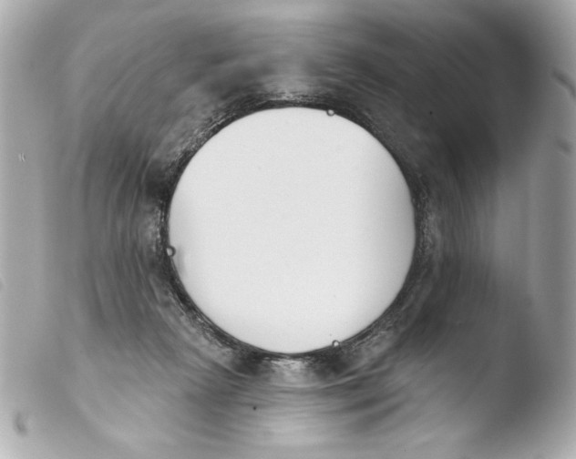 X0000103930265200810031306