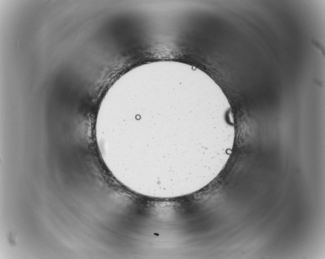 X0000103930268200810031306