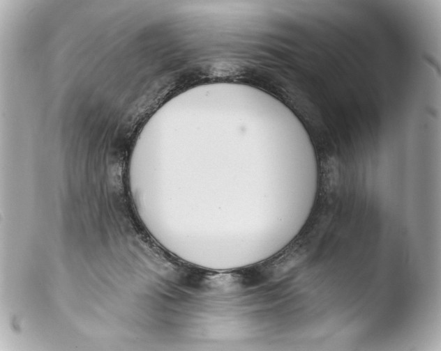 X0000103930269200810031306