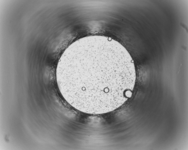 X0000103930272200810031306