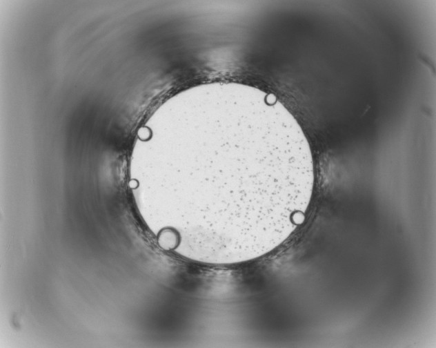 X0000103930276200810031306