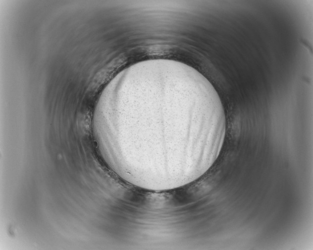 X0000103930277200810031306