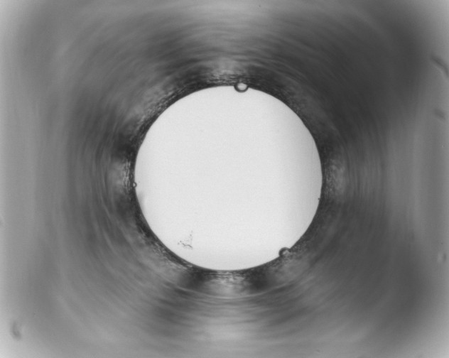 X0000103930278200810031306