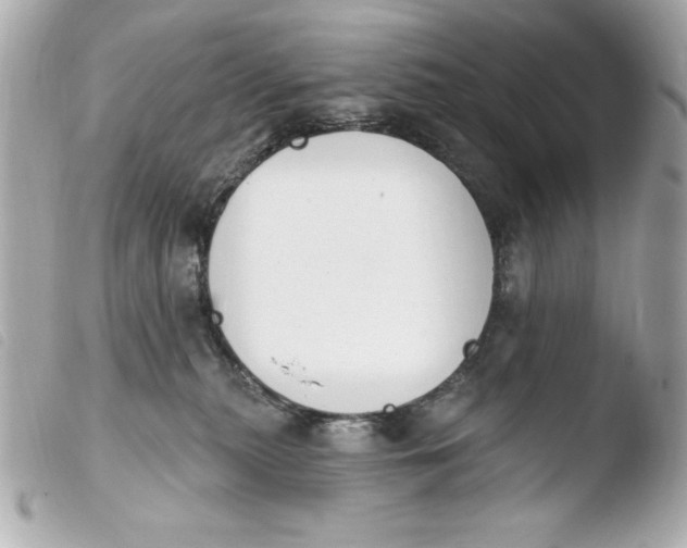 X0000103930279200810031306