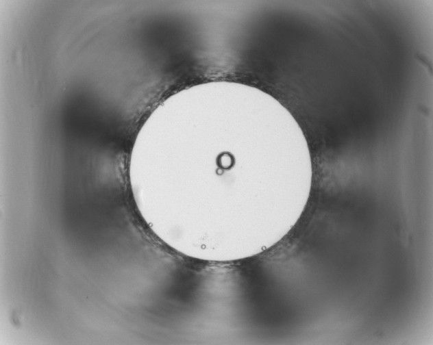 X0000103930280200810031306