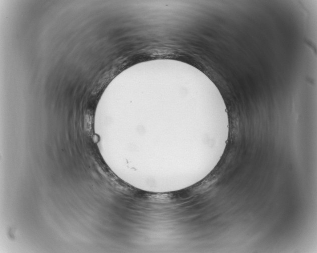 X0000103930281200810031306