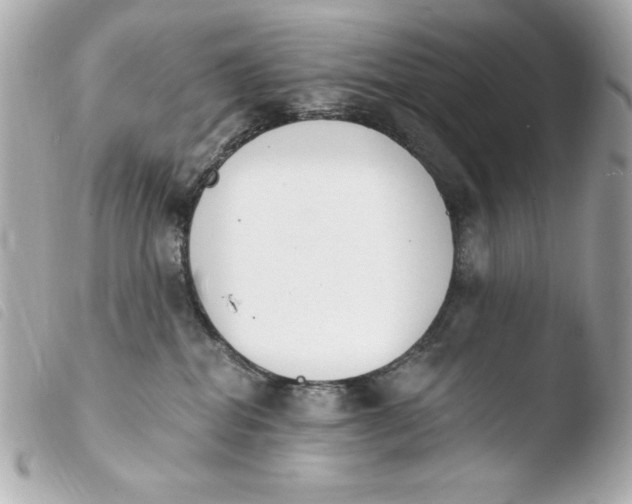 X0000103930282200810031306