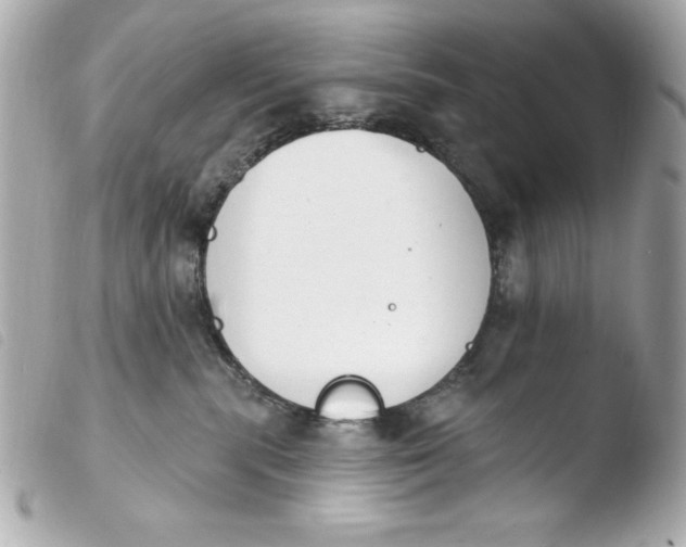 X0000103930283200810031306