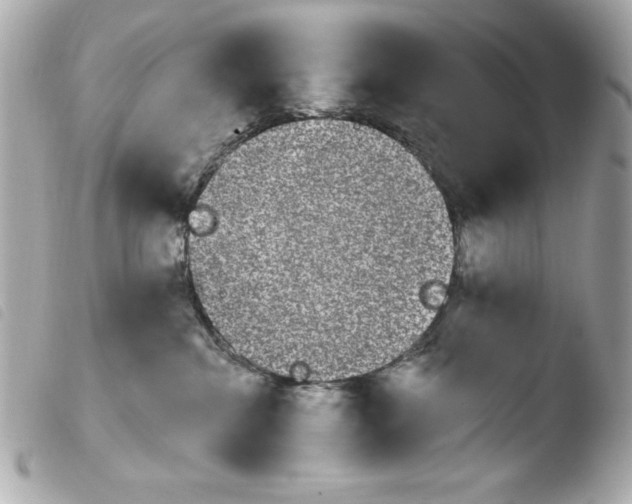 X0000103930284200810031306