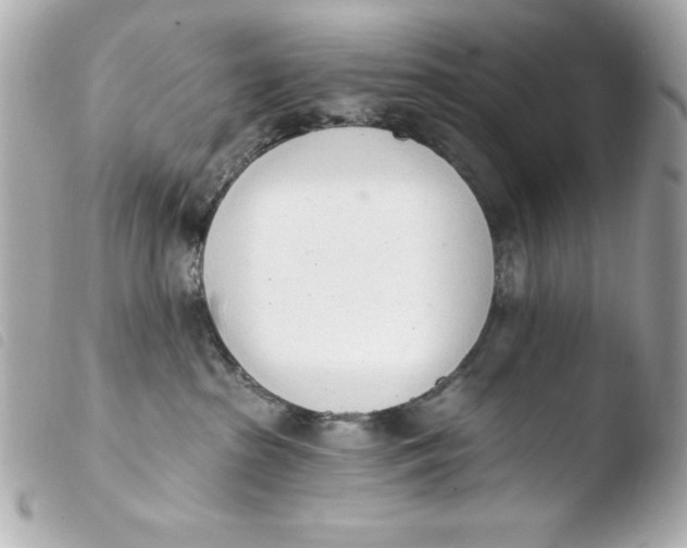 X0000103930285200810031306