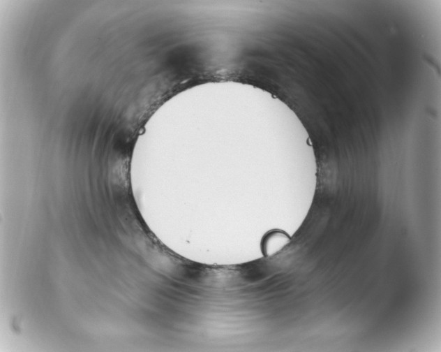 X0000103930286200810031306