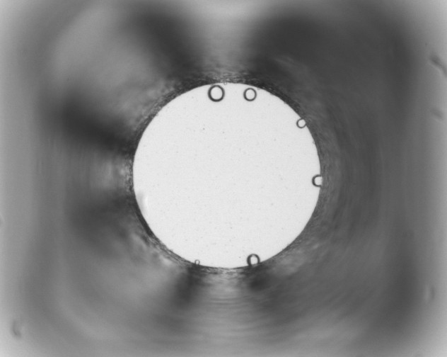 X0000103930288200810031306