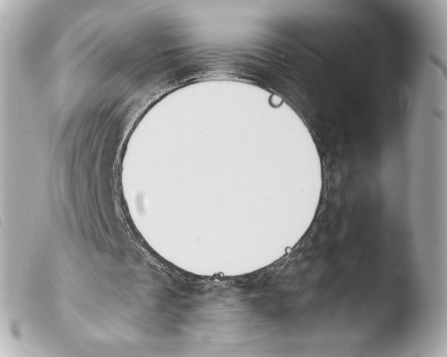 X0000103930289200810031305