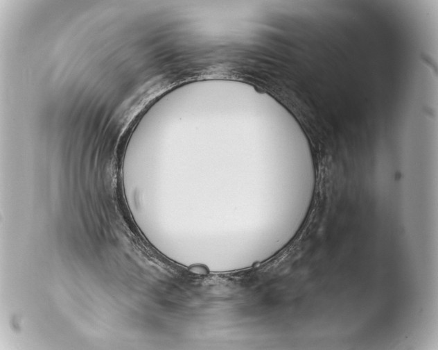 X0000103930290200810031305