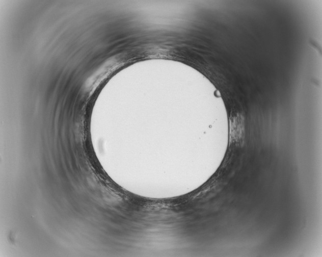 X0000103930291200810031305