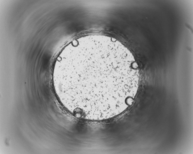 X0000103930293200810031305