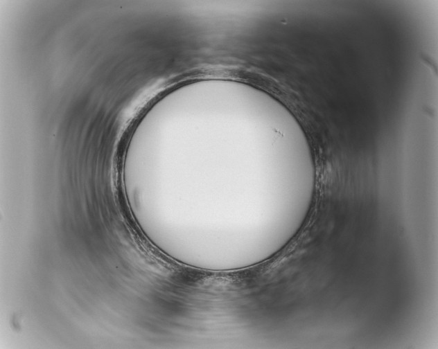 X0000103930294200810031305