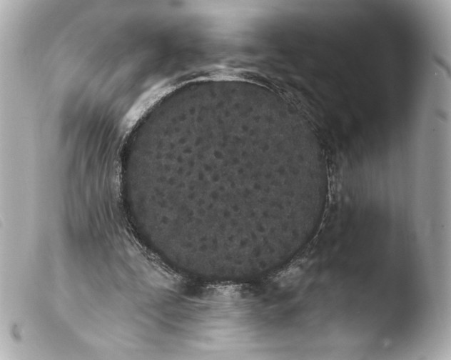 X0000103930295200810031305