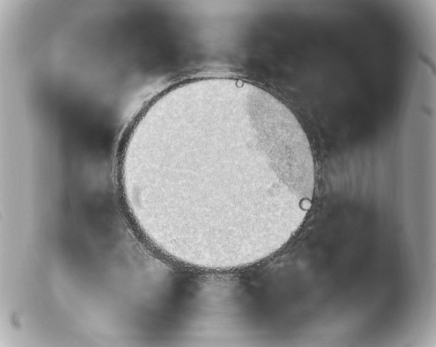 X0000103930296200810031305