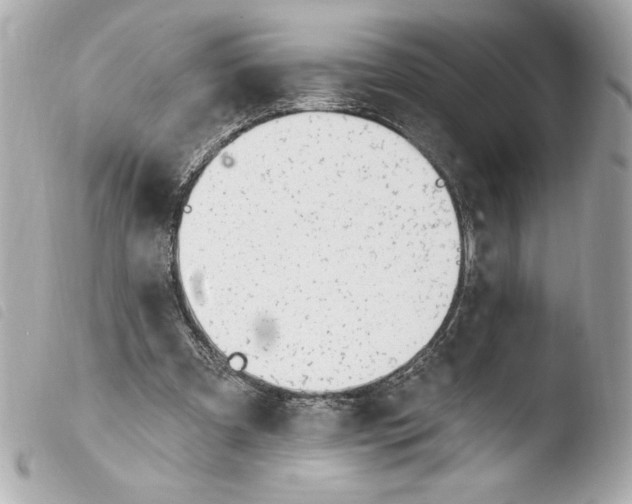 X0000103930297200810031305