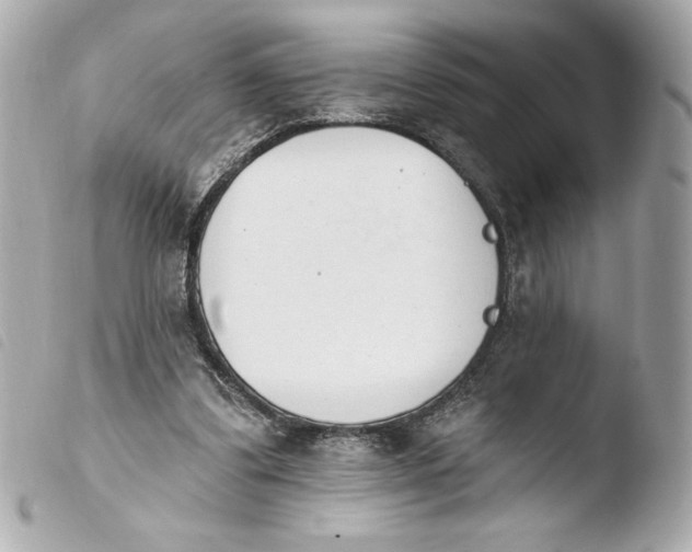 X0000103930299200810031305