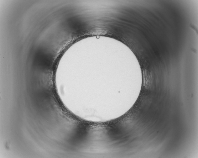 X0000103930300200810031305