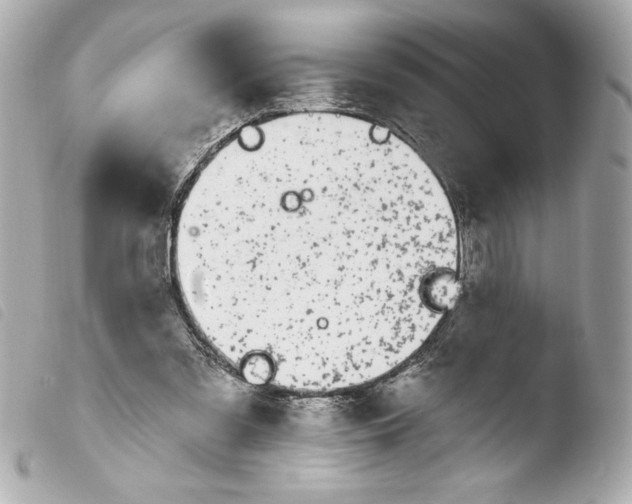 X0000103930301200810031305