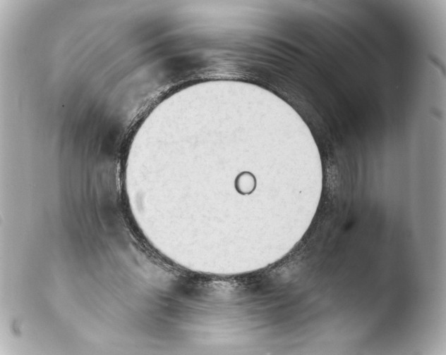 X0000103930302200810031305