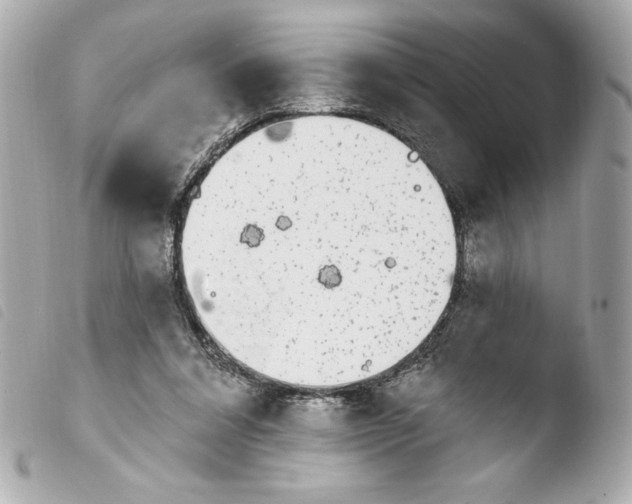 X0000103930304200810031305