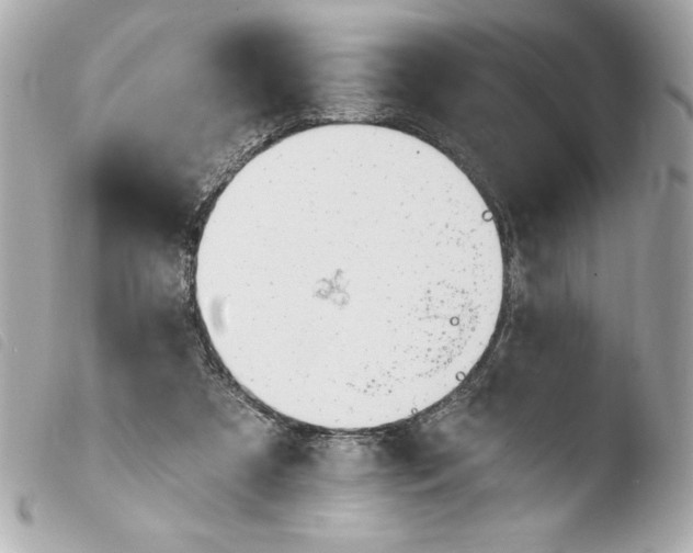 X0000103930305200810031305