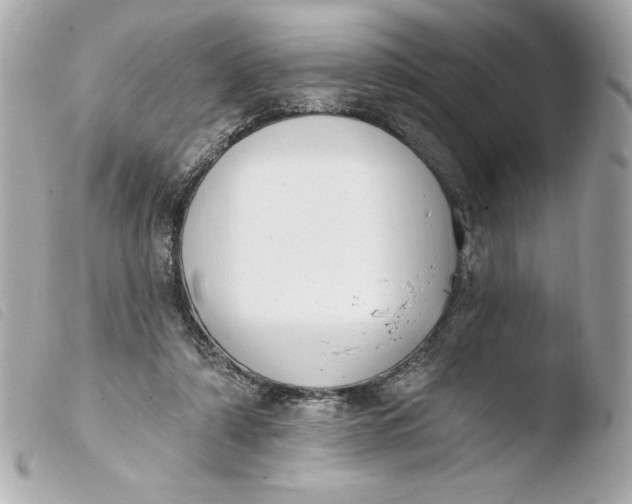 X0000103930306200810031305